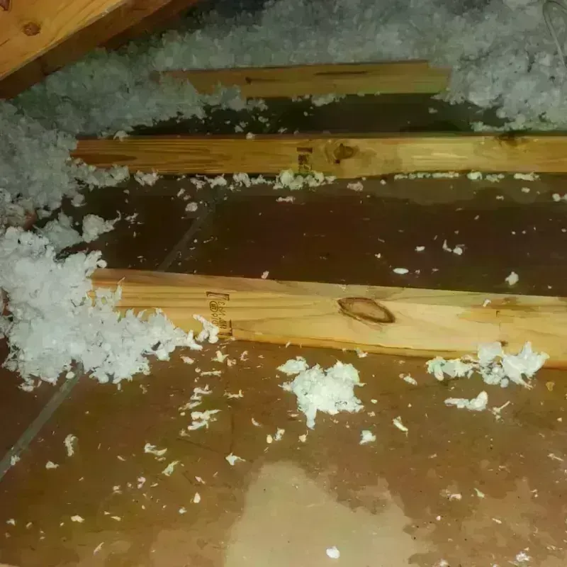 Attic Water Damage in Peru, NY